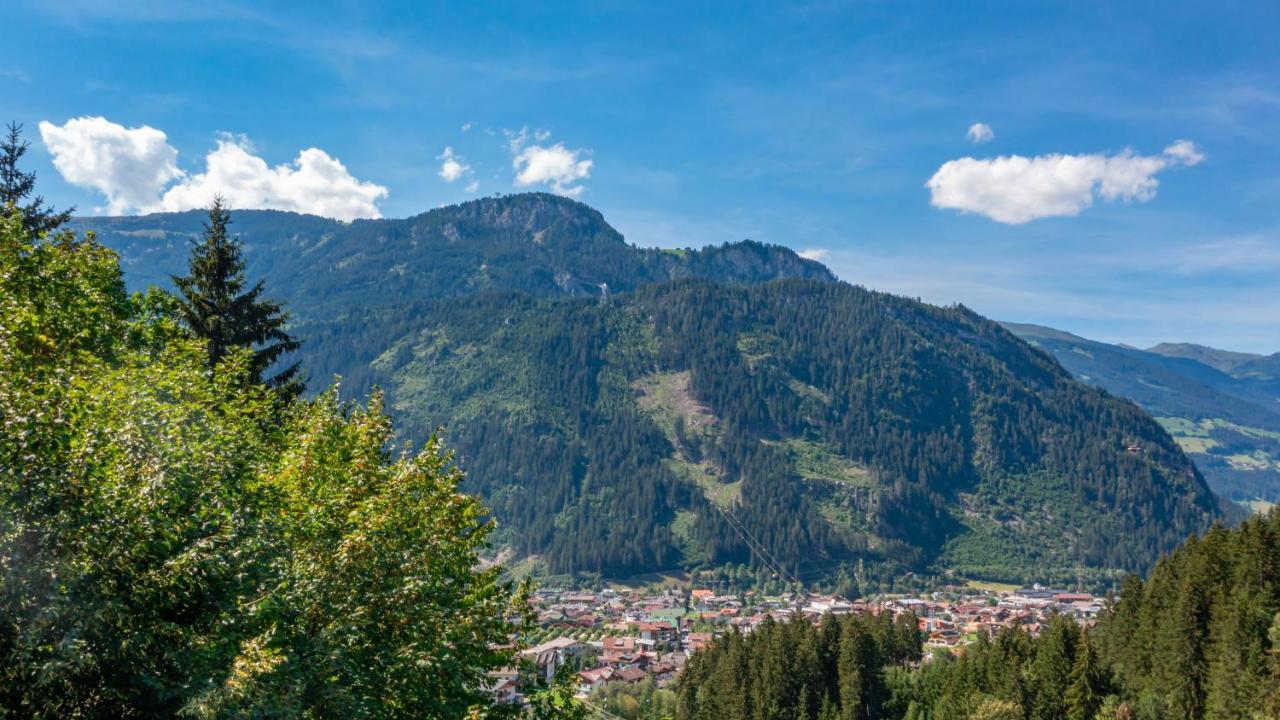 Chalet Alpendomizil Ahorn マイヤーホーフェン エクステリア 写真